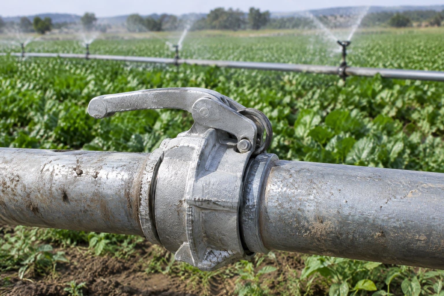 A galvanised Bauer lever coupling joining two irrigation pipes on a farm field