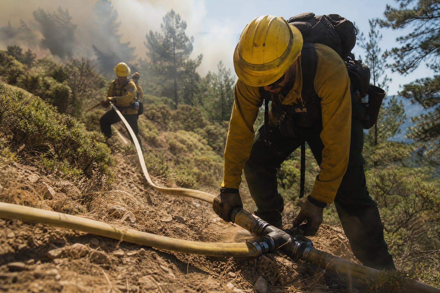 Wildland firefighters in yellow laying forestry fire hose up a dry pine hillside, connecting a tee, smoke behind