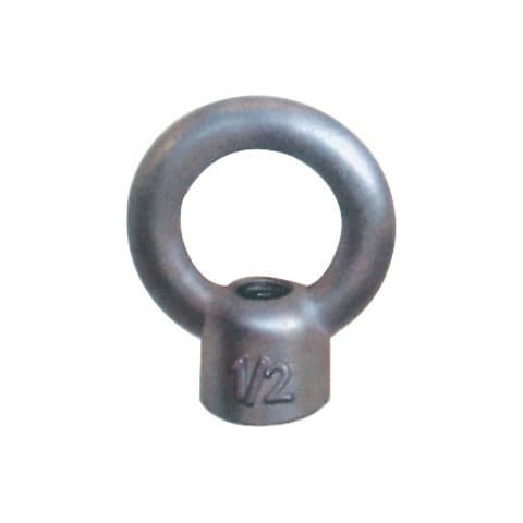 DIN 582 Eye Nut
