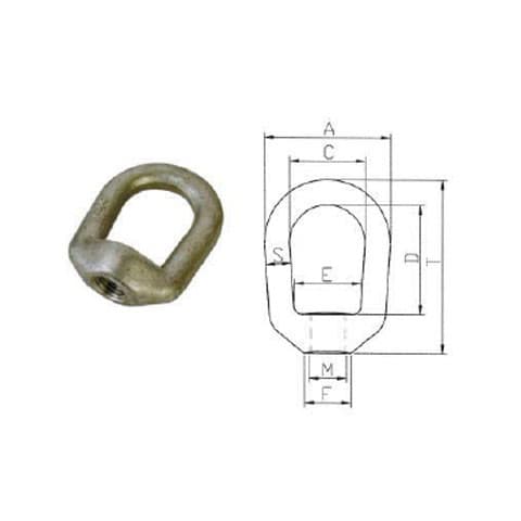 Eye Nut — US Type