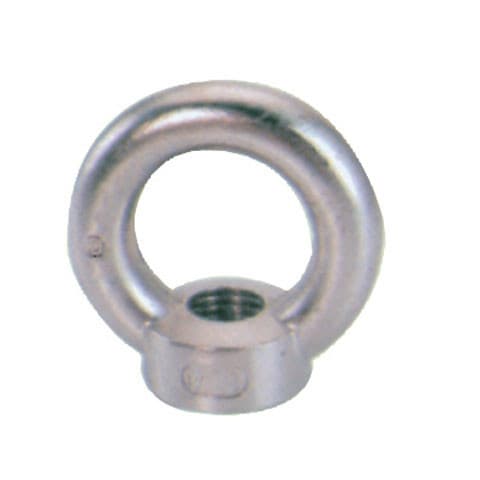 Stainless Steel DIN 582 Eye Nut