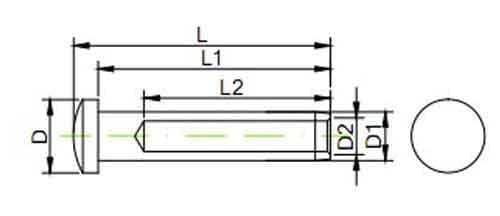 Stainless Steel Dome Head Terminal
