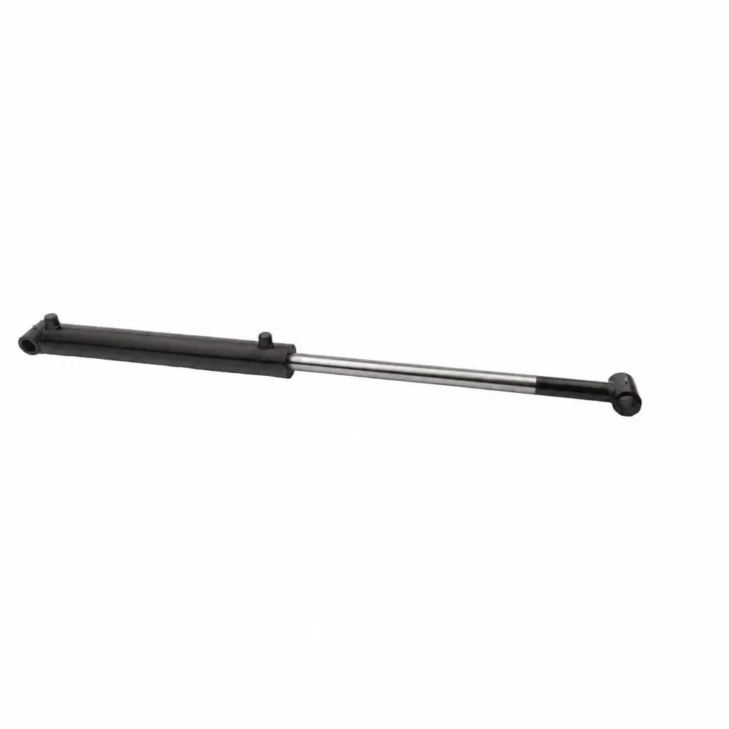 Magister WLDN Loader Hydraulic Cylinder, 2.5" Bore, view 1