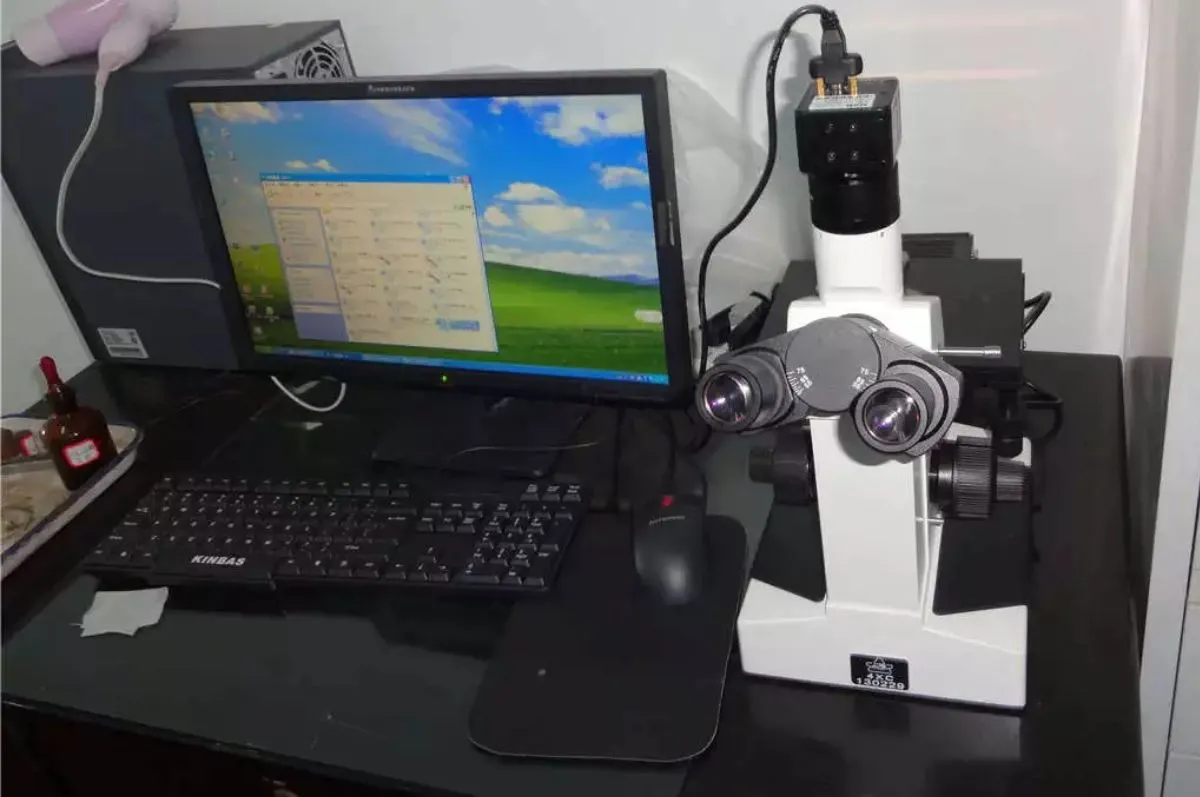 Metallurgical microscope reading grain structure